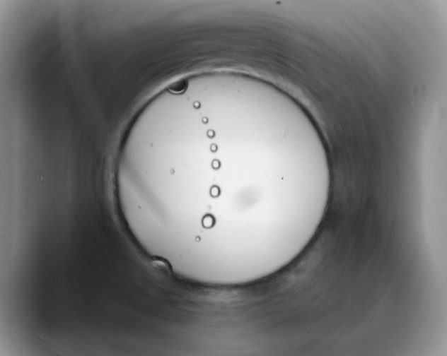 X0000089851525200707191853