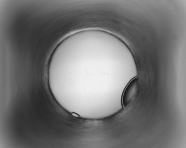 X0000089851526200707191853