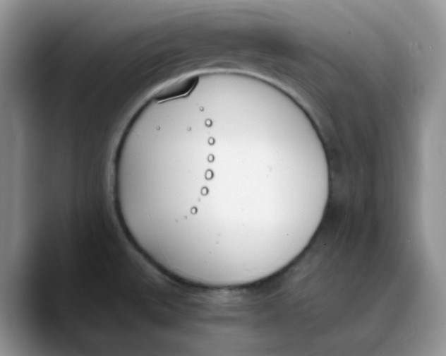 X0000089851527200707191853