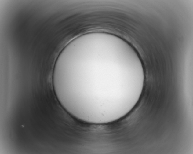 X0000089851529200707191853