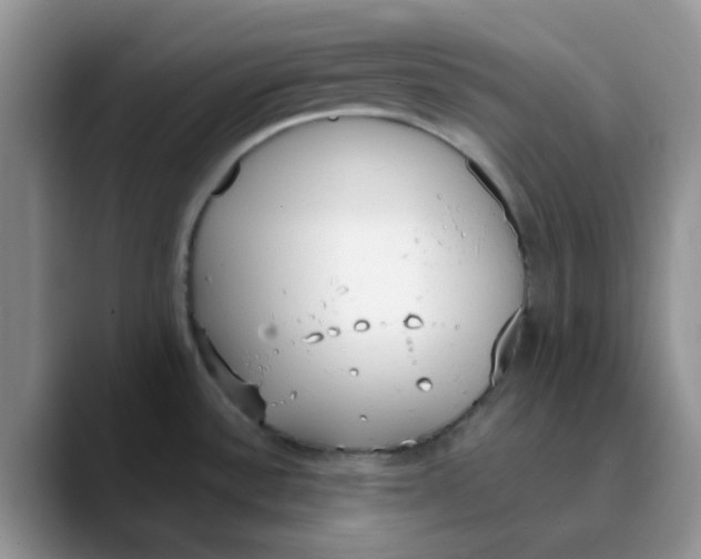 X0000089851532200707191853