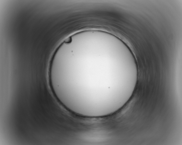 X0000089851533200707191853