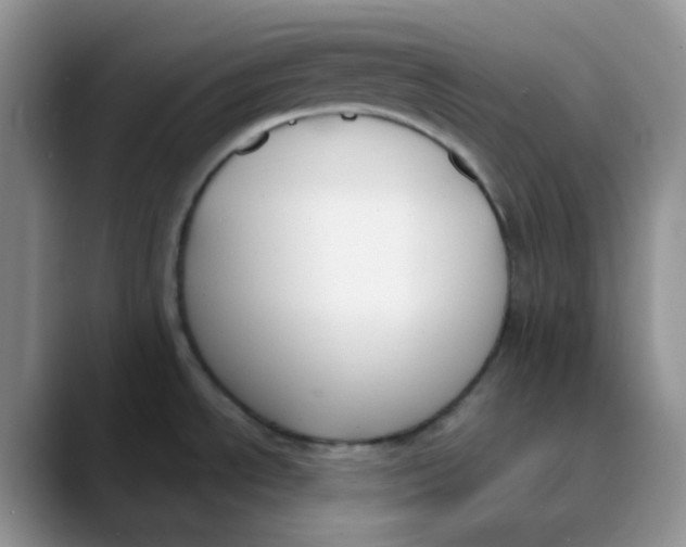 X0000089851534200707191853