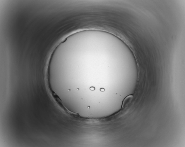 X0000089851536200707191853