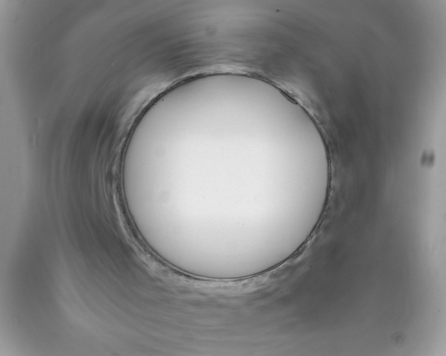 X0000089850001200707262117