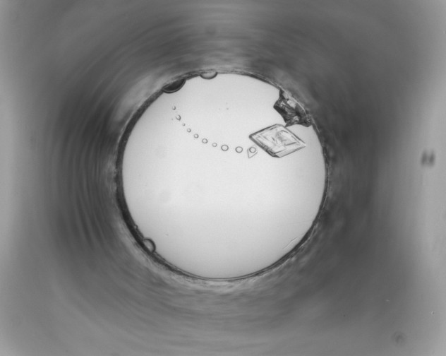 X0000089850002200707262117