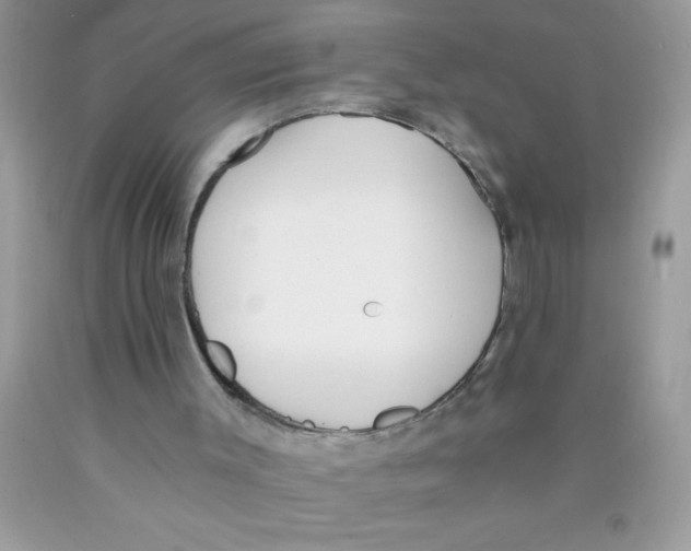 X0000089850003200707262117