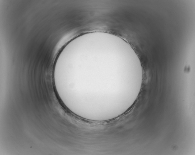 X0000089850004200707262117