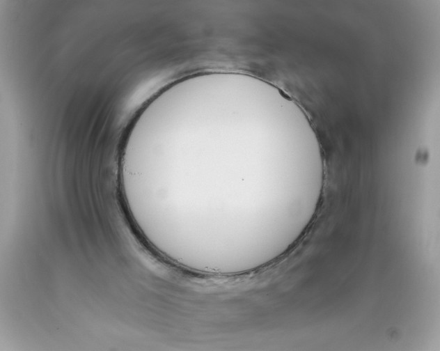 X0000089850005200707262117