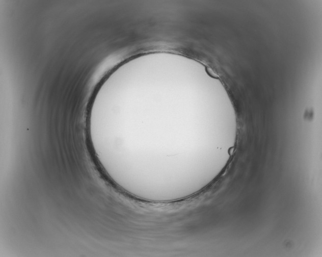 X0000089850006200707262117