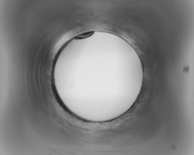 X0000089850007200707262117