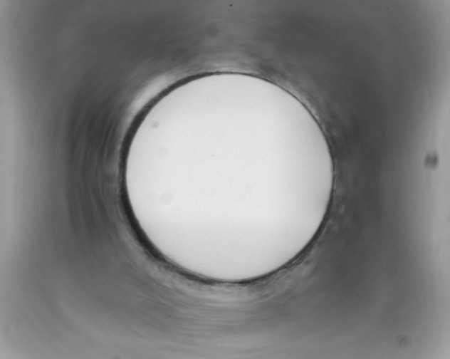 X0000089850008200707262117