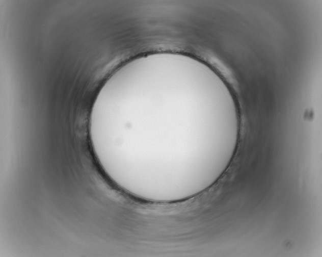 X0000089850009200707262117