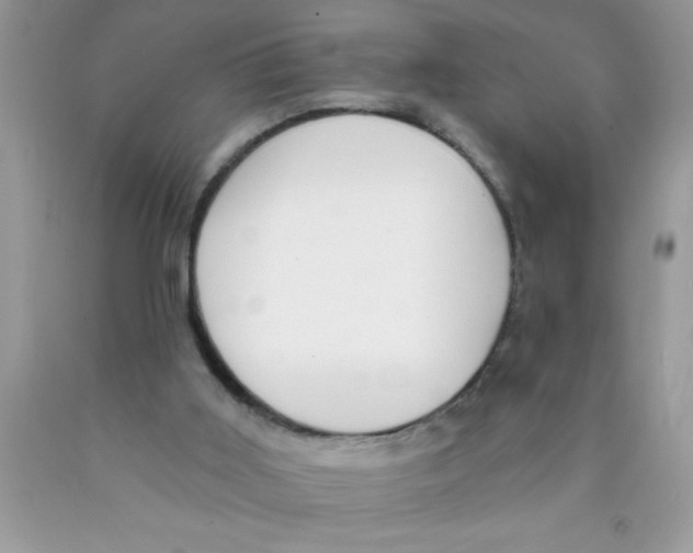 X0000089850011200707262117