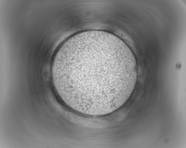 X0000089850012200707262117