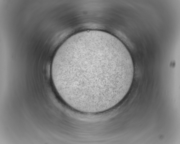 X0000089850014200707262117