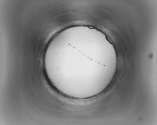 X0000089850015200707262117