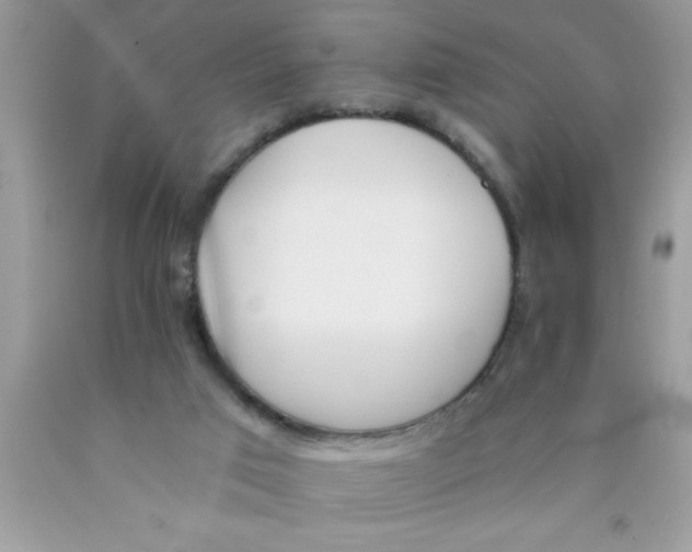 X0000089850017200707262117