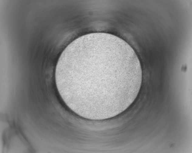 X0000089850018200707262117