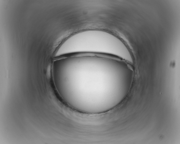 X0000089850019200707262117