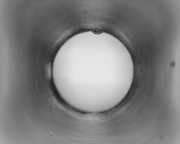 X0000089850020200707262117