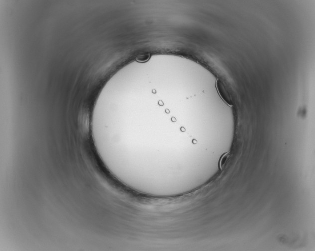 X0000089850021200707262117