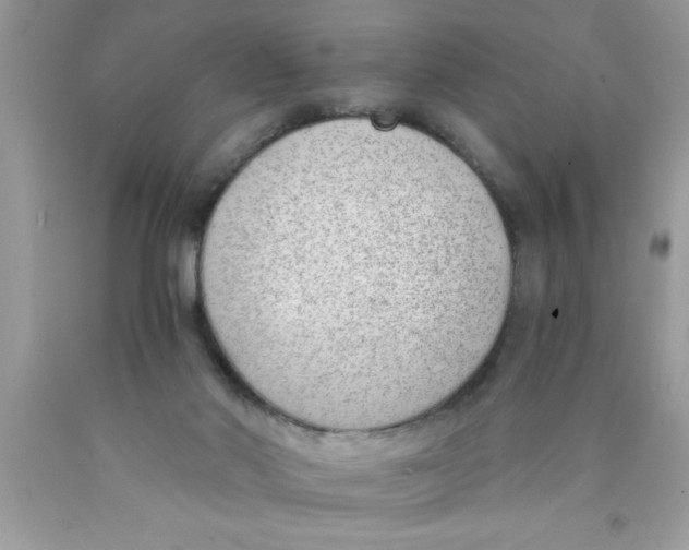 X0000089850022200707262117