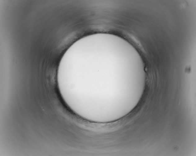 X0000089850023200707262117