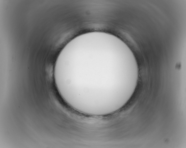 X0000089850024200707262117