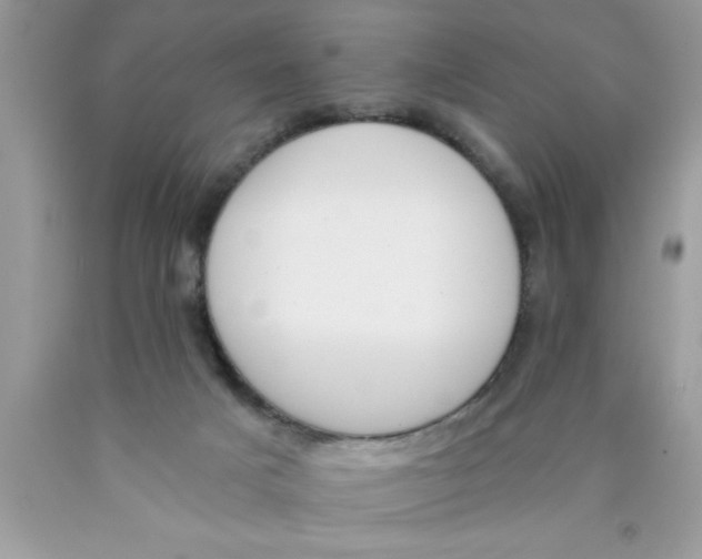 X0000089850025200707262116