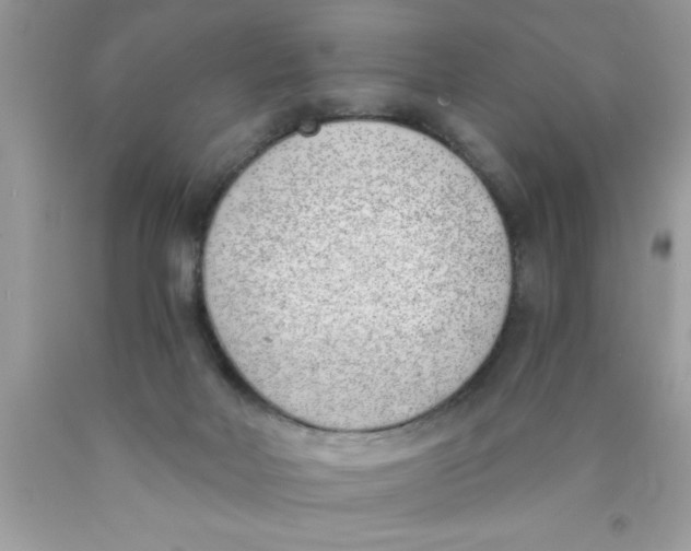 X0000089850026200707262116