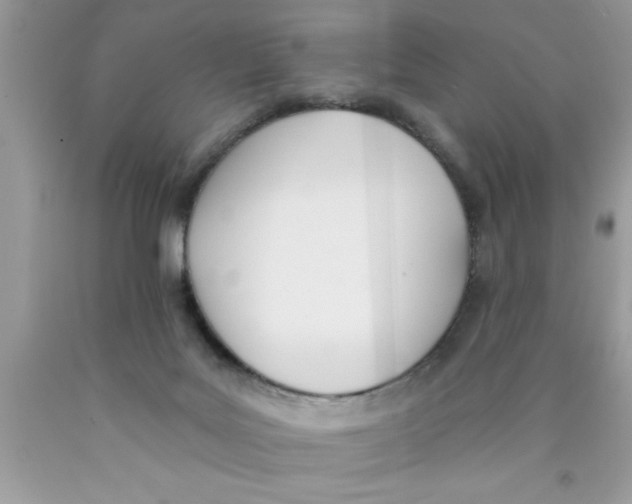 X0000089850027200707262116