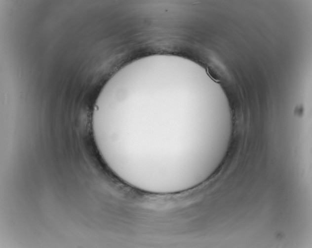 X0000089850029200707262116