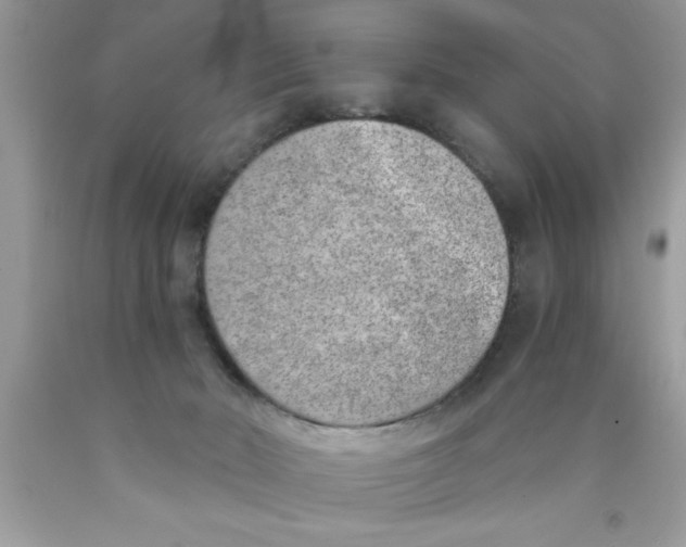 X0000089850030200707262116