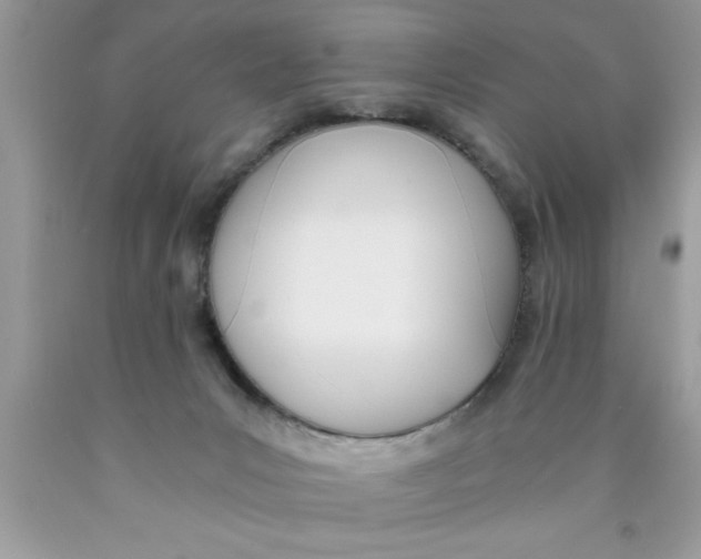 X0000089850031200707262116