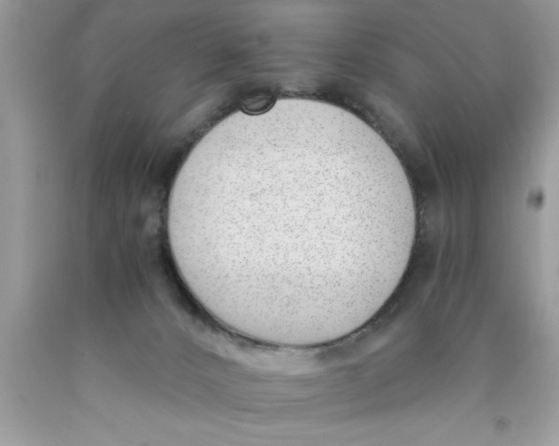 X0000089850032200707262116