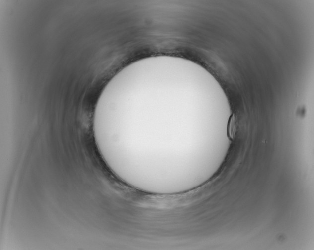 X0000089850033200707262116