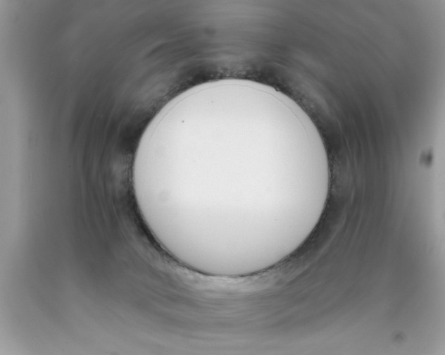 X0000089850034200707262116