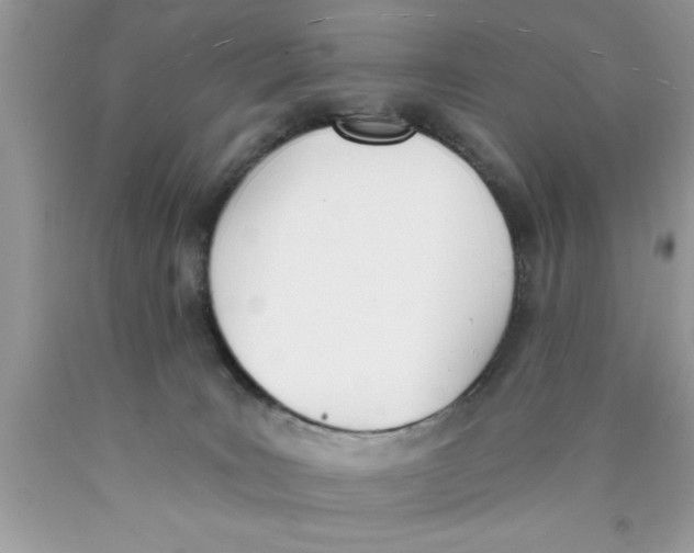 X0000089850035200707262116