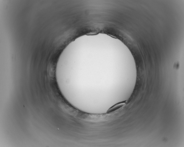 X0000089850037200707262116