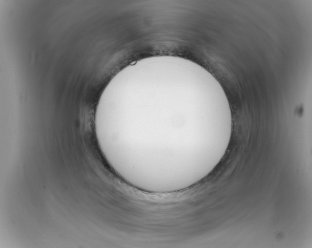 X0000089850038200707262116