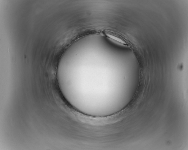 X0000089850039200707262116