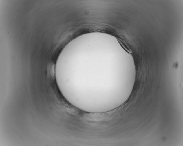 X0000089850041200707262116