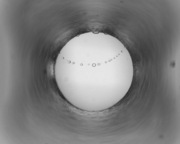 X0000089850042200707262116