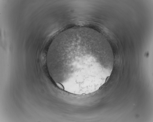 X0000089850043200707262116