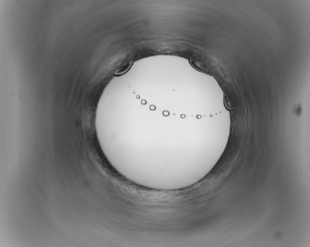 X0000089850044200707262116