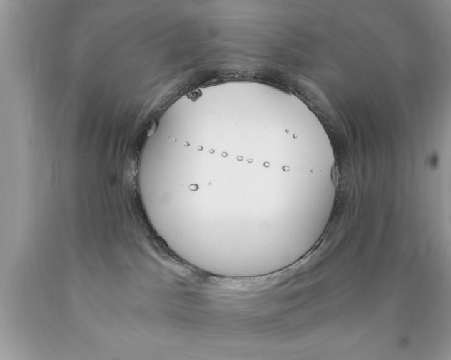 X0000089850045200707262116