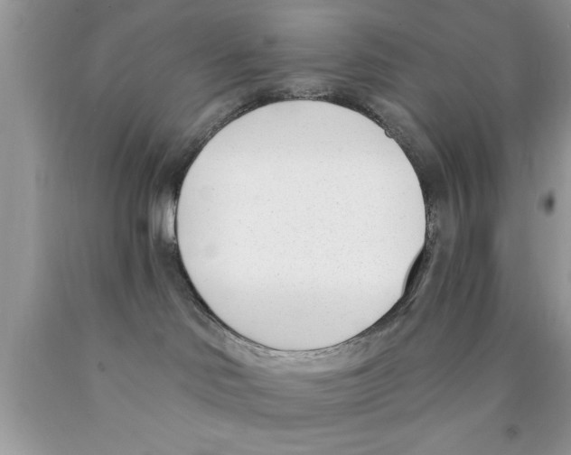 X0000089850046200707262116