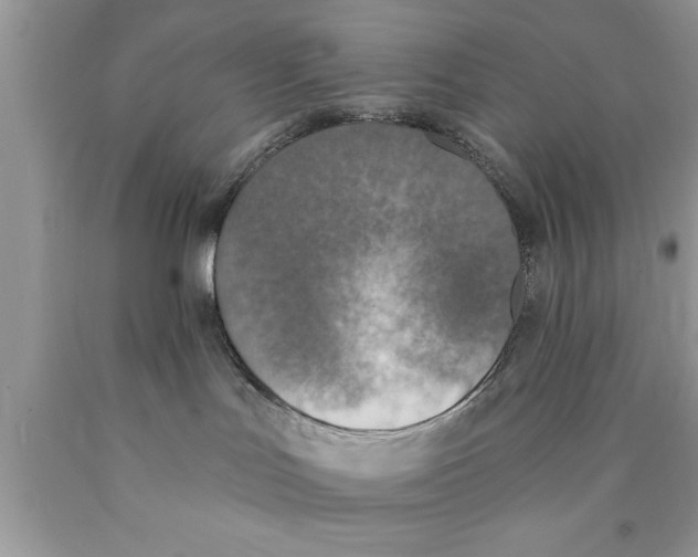 X0000089850047200707262116