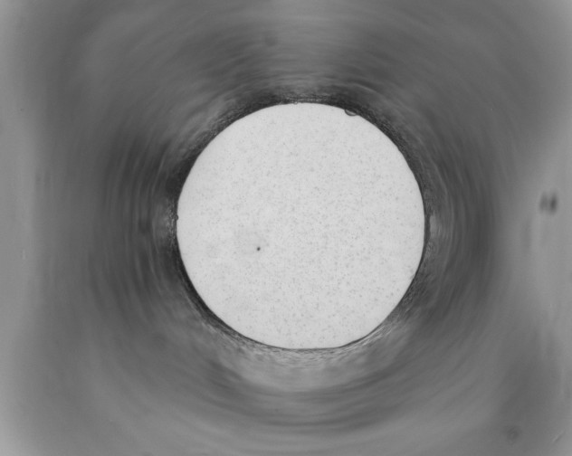 X0000089850048200707262116